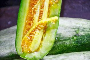 山东潍坊网红吃瓜,一场舌尖上的美食盛宴 第2张 山东潍坊网红吃瓜,一场舌尖上的美食盛宴 第2张